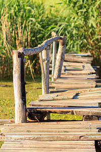 古老的木桥横跨长满芦苇的小河图片