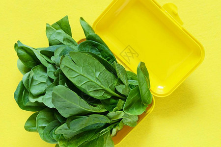 一束新鲜菠菜放在黄色背景的黄色午餐盒中健康饮食概念塑料容器图片