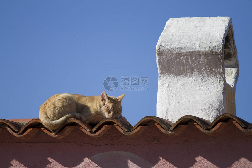 一只红头发猫睡在太阳下在典型的地中海房子屋顶的瓷砖上用一种传统形状图片