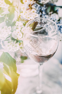 一杯白色的夏多纳酒在葡萄饮料品尝活动酿酒和法国文化概念为完图片