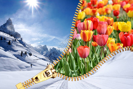 冬春开放Zip季节过渡概念它可以用来表达不断变化的概念图片