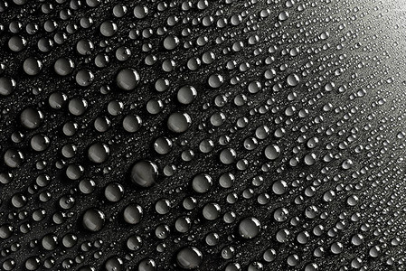 黑色的成熟的背面的水滴子用图片