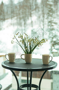 冬日阳台上的莲和饮料杯图片