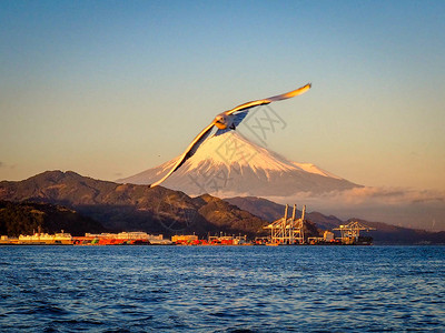 梦幻渡轮迷你游轮上的海鸥飞和富士山背景从日本静冈县滨名湖出发图片