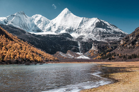 圣山Yading自然保护区秋谷带冰冻河流的Yangm图片