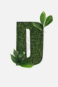 在绿草背景上切出D字母白色与绿叶隔背景图片