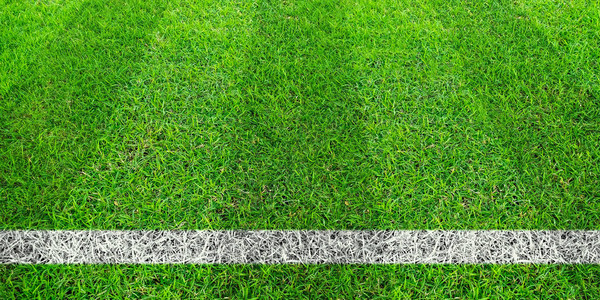 足球场绿草的足球线绿色草坪运动为背景背景图片