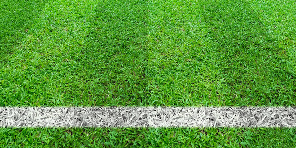 足球场绿草的足球线绿色草坪运动为背景背景图片