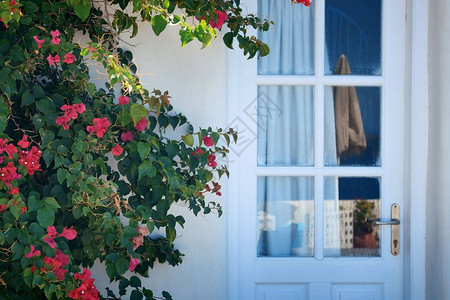 希腊圣托里尼岛有门和鲜花的图片