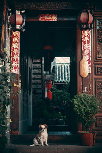 云南丽江老街纳西风格的带狗旅馆背景图片