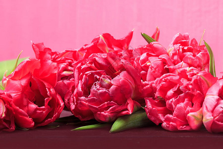 红色和粉红色郁金香的春天boquet花卉粉红色背景与文本空图片