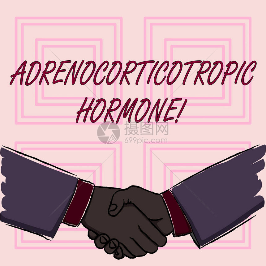 表示AdrenocortorotropicHormone的手写概念概念意思是荷尔蒙图片
