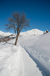 大雪后可通行的道路图片