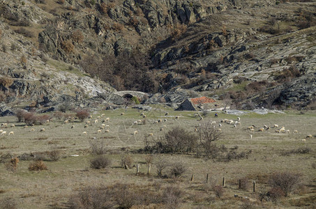 马其顿村马里奥沃地区佐维奇背景图片
