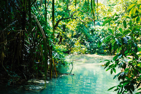 绿松石热带湖的奇幻丛林景观图片