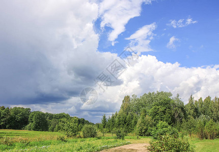 东欧拉脱维亚的夏日风景图片