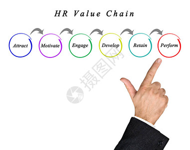 人力资源价值链展示HR图片
