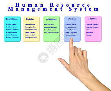 人力资源管理系统图片