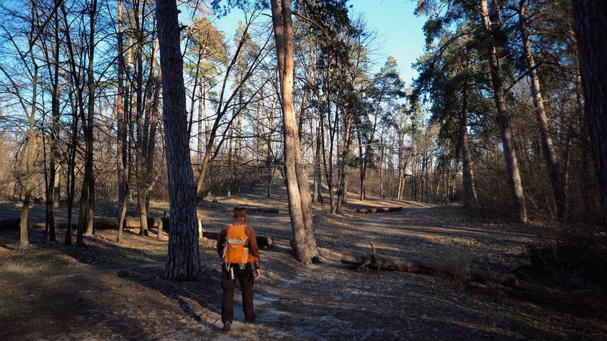 背着包的勇敢的白种人徒步旅行的后视图沿着乡间小路走进森林图片