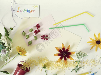 明信片的成分包括夏季浆果鸡尾小管鲜花和浅背景最图片