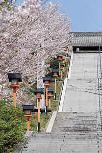 有楼梯的樱花树日本场景图片