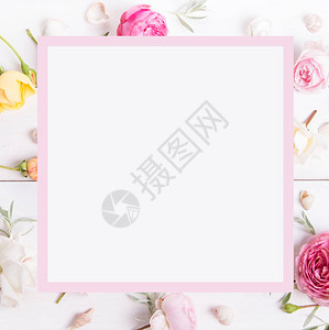 白色背景上的节日粉红色花朵英国玫瑰组成图片
