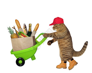 穿红色帽子和黄色靴子的猫正在推着绿色轮车厢图片