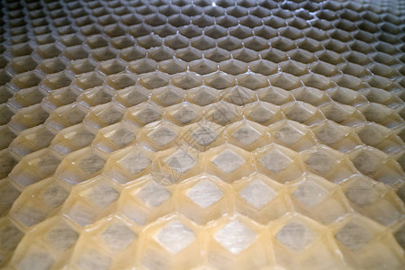 宽角蜂窝蜡的宏观光照蜂窝梳六边形状模图片
