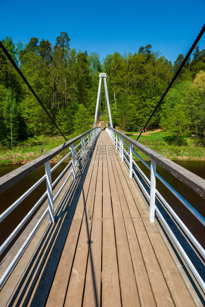 夏季绿叶林河上的步行桥图片