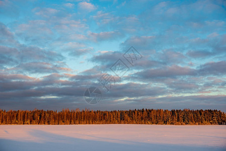 冬季农村的雪田覆盖着寒冬蓝云图片