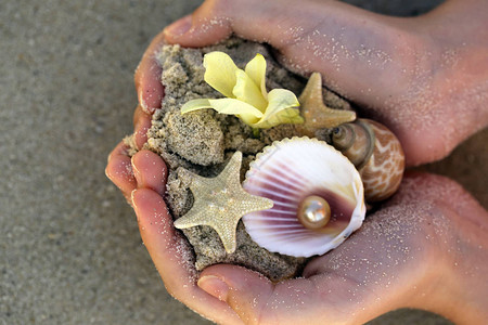 手中的沙子贝壳和海星度假概念图片