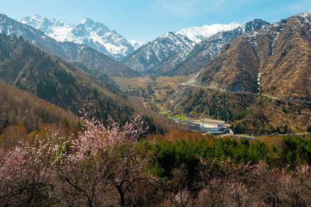 梅迪奥山谷的春天春天的山景白雪皑的山峰图片