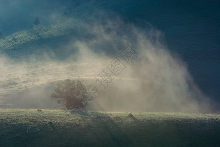 孤单地在薄雾的清晨山上游荡山丘雾黎图片