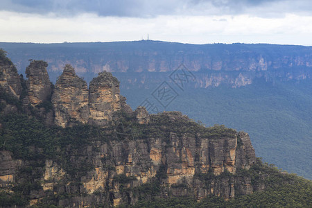 澳大利亚新南威尔士州蓝山的树木修女图片