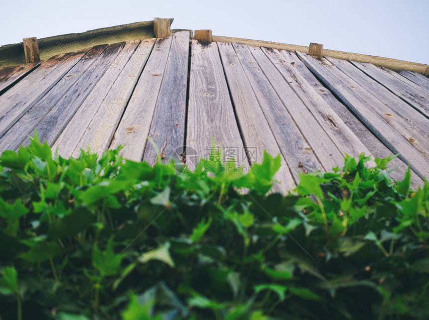 WoodenShackRoof与绿图片