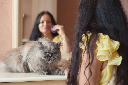 在镜子旁边的室内穿黄色猫图片