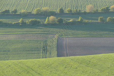 农业用地飞机上处理过的田地种植图片