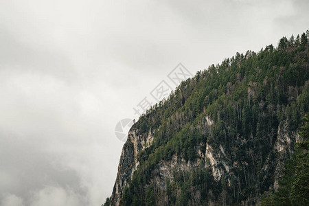 高雾在青绿地带的山地上图片