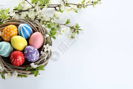 在巢中彩绘复活节彩蛋和在白色背景上开花的树枝图片