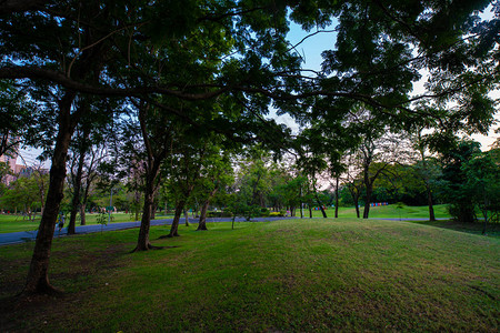 绿色公园日落城市公共园图片