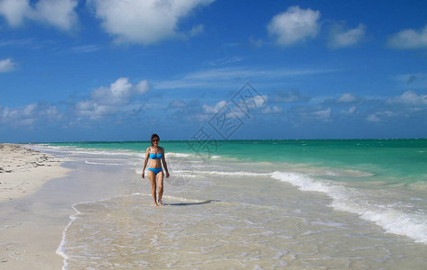 加勒比热带沙滩的图片