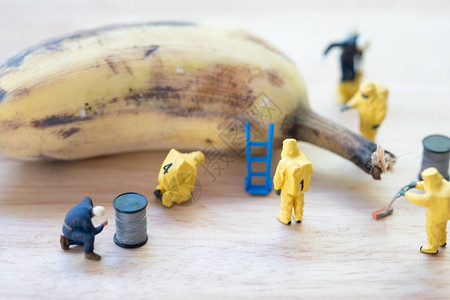 拥有腐烂香蕉的犯罪现场调查员高清图片