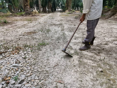 锄草的不知名男子背景