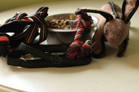 狗玩具皮带绳子和食物碗照顾狗或图片