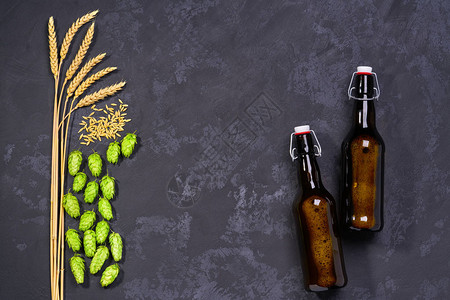 啤酒加新鲜绿色的啤酒和黑色背景的麦芽酒手工图片