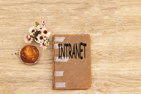 显示Intranet的概念手写商业照片文本地或受限通信网络图片