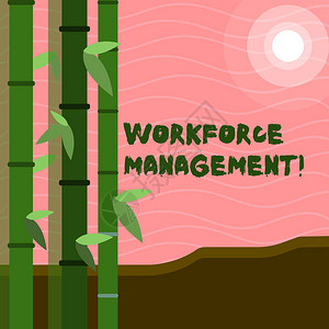 显示劳动力管理的文字标志商业照片文字用于优化其员工的生产力图片