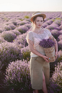 年轻女孩拿着维基篮子手上拿着熏衣草叶在紫菜田里戴图片