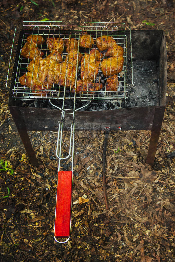 腌肉块在火盆的烤架上余烬户外烧烤肉串自然烤野餐图片
