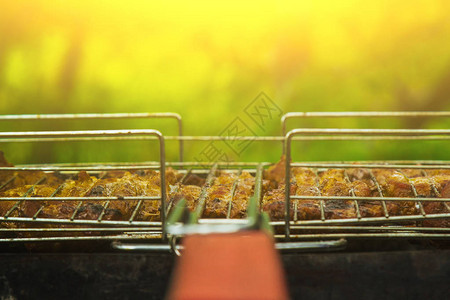 腌肉块在火盆的烤架上余烬户外烧烤肉串自然烤野餐侧视图关闭图片